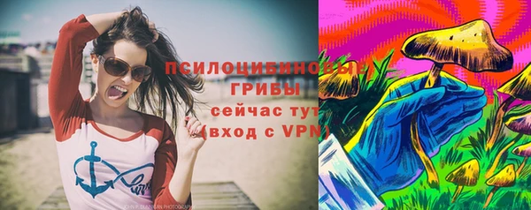 прущие крисы Балахна